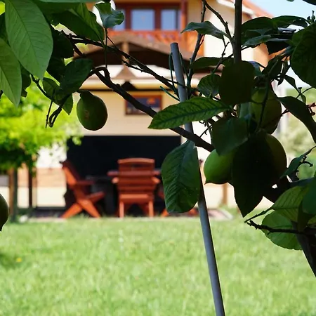 Apartament Fuzfa Vendeghaz Demjén